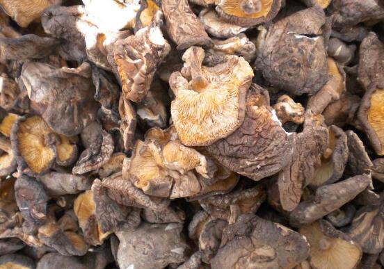快速泡发干货食材的秘籍：木耳、香菇、银耳泡发技巧大公开