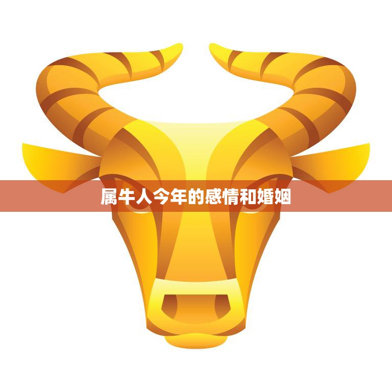 属牛人士必备：如何利用绿色植物提升办公环境的正能量