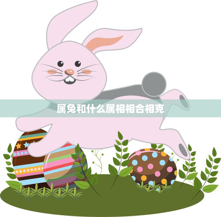 属兔的朋友注意啦!今日运势解读与小贴士