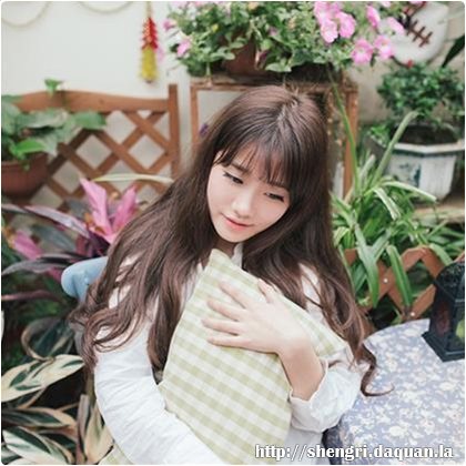 7月24日生肖狗运势全面解析:属狗朋友必看