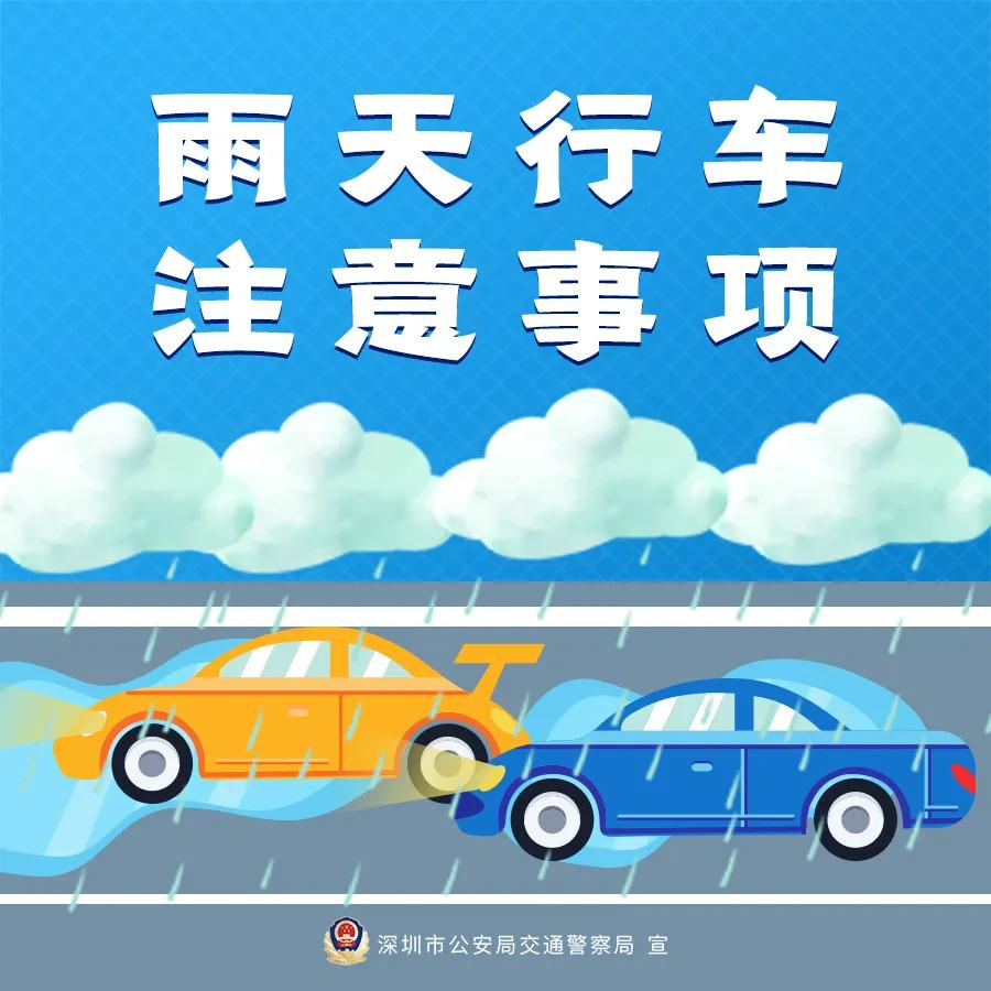 雨天行车安全指南:狗年生肖车主请注意减速慢行