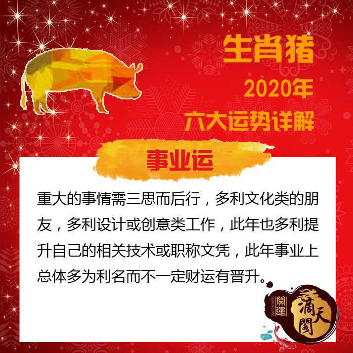 属猪朋友们注意啦!今日运势与年终分红预测