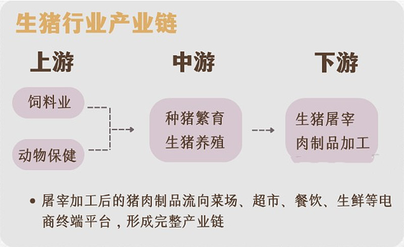 深入解读属猪人在餐饮投资考察市场的机遇与挑战