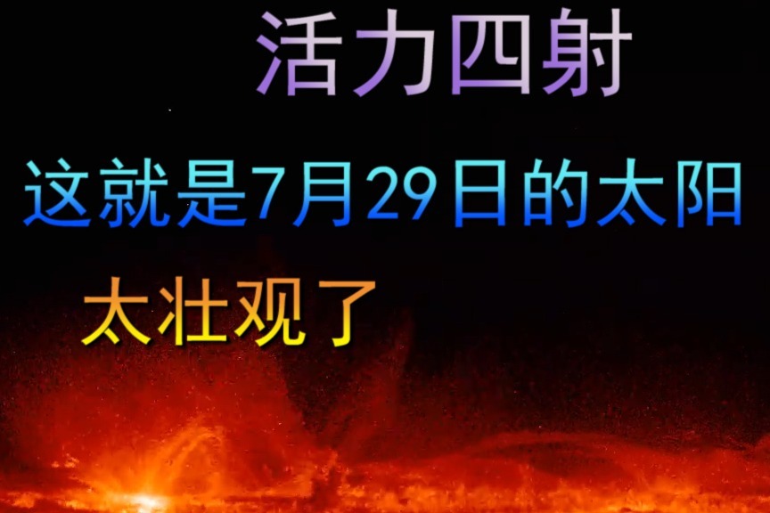 7月24日巨蟹座必读:贝壳饰品如何增强你的安全感