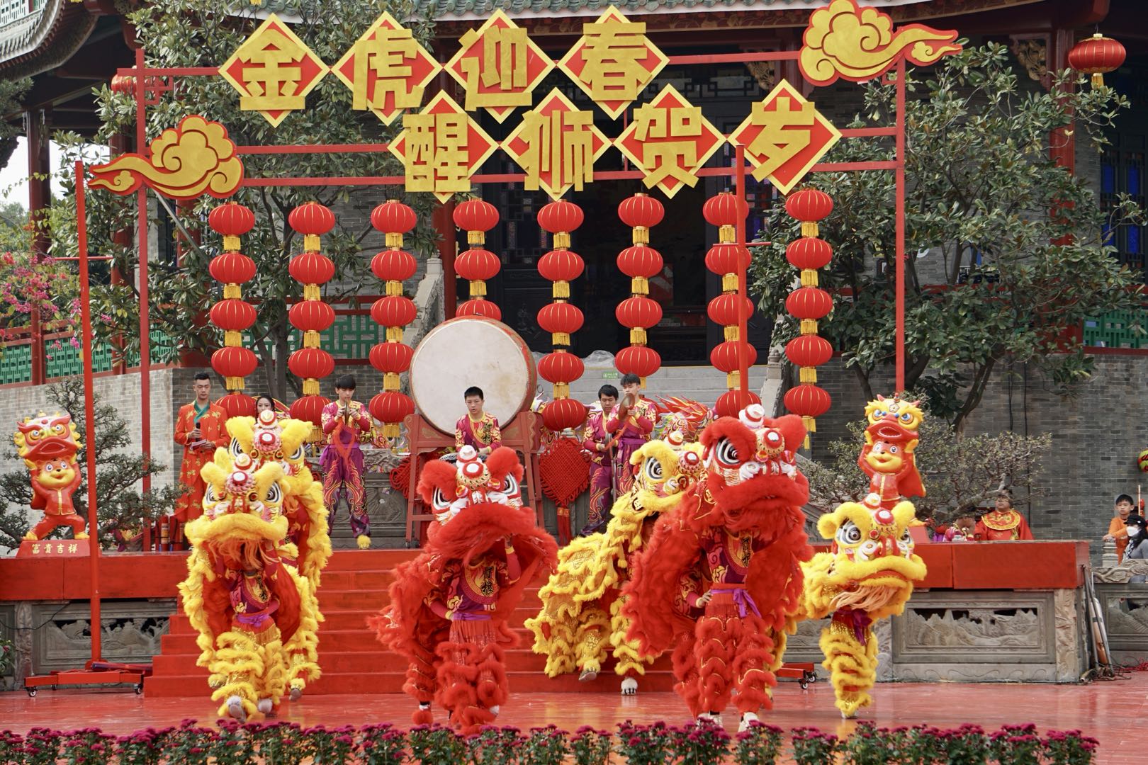 7月24日狮子座运势解析:学习专注核心领域,迈向专业权威之路