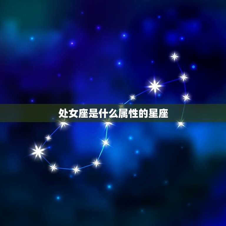 处女座必看:掌握收支明细与预算控制艺术