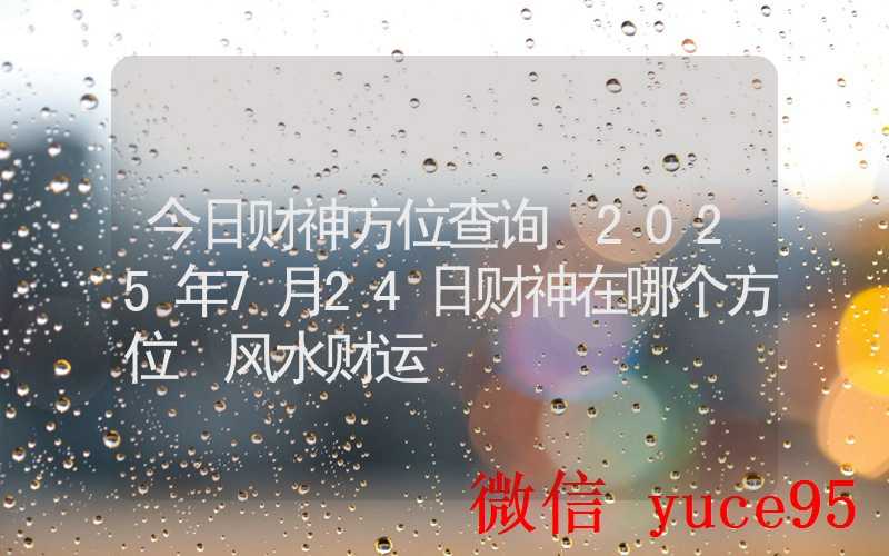 7月24日天秤座运势解析:职场协调多方利益,共创双赢局面